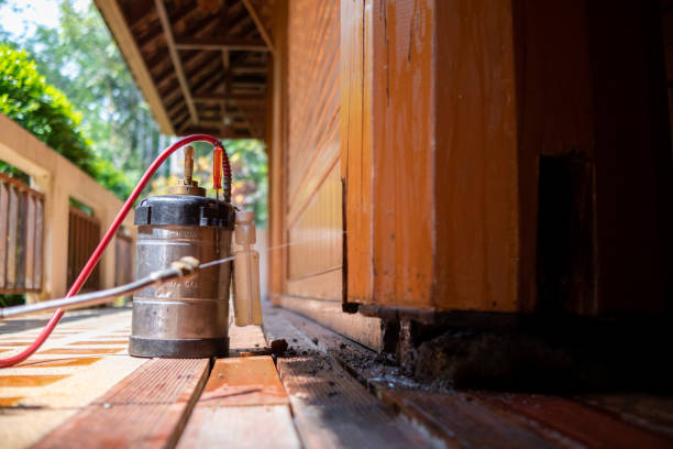 Best Wasp Removal Services  in Milton, PA