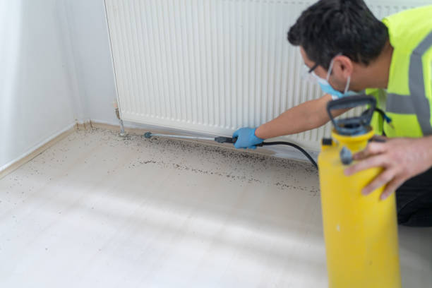 Best Residential Pest Control  in Milton, PA